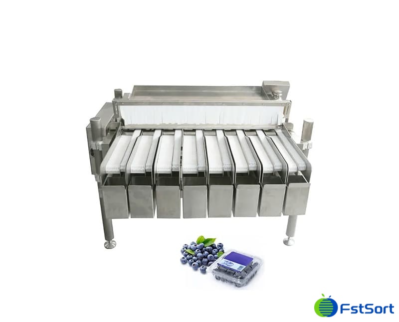 images/1754300191429Dormitorio de arándanos envasadora.jpg